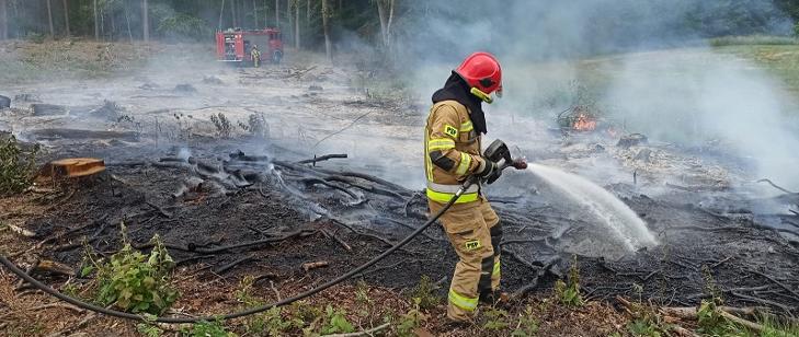 Pali się las w Sztumskim Polu. Na miejscu kilka zastępów straży pożarnej.