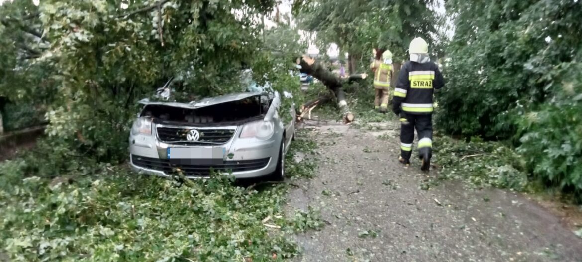Gwałtowna nawałnica przeszła przez powiat sztumski. W Cieszymowie drzewo spadło na samochód.