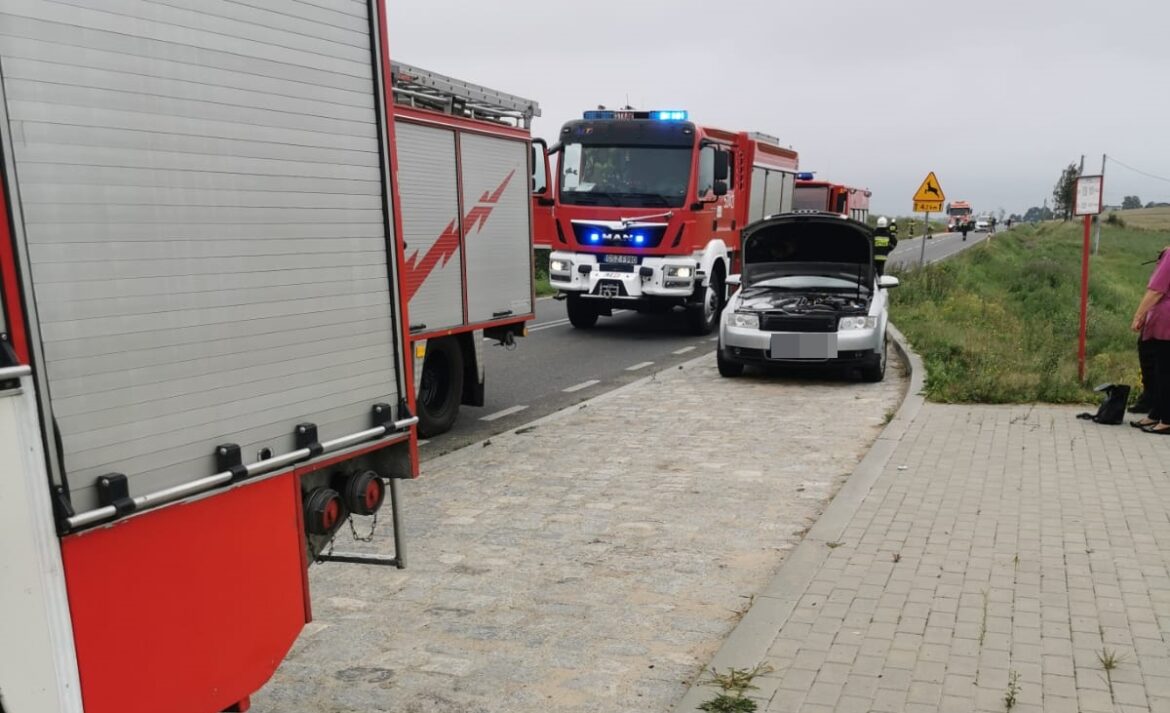 Pożar samochodu na DW515 w Dąbrówce Malborskiej.