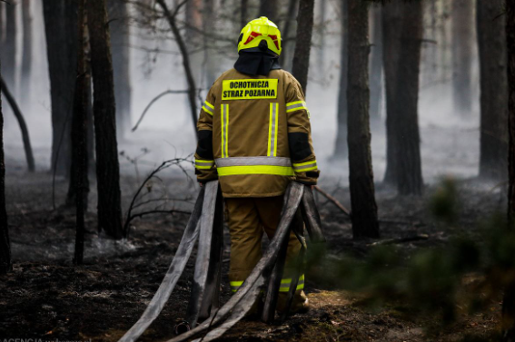 Pożar lasu w Wilkach. Służby apelują o zachowanie ostrożności.